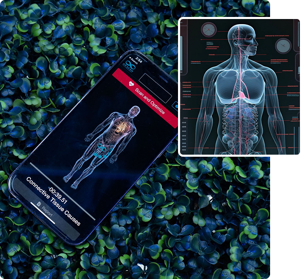Mobile body scan, digital anatomy