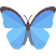butterfly giff icon