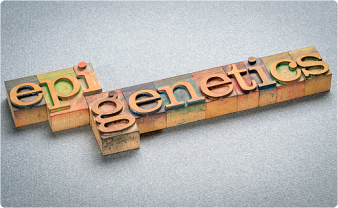 epi genetics