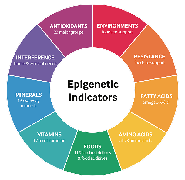 epigenetic indicator